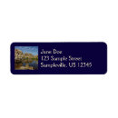 Search for reflections return address labels Nature