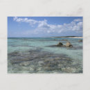 Search for savanah postcards Beach