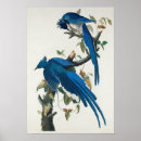 Search for jay jay art Vintage