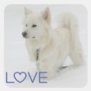 Search for american eskimo dog stickers Puppy