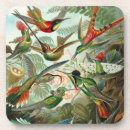 Search for wing coasters Green