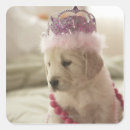 Search for bedroom labels Animal