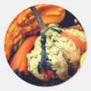 Search for ornament round stickers Fancy