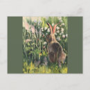 Search for snowshoe hare postcards Alaska