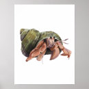 Search for the hermit posters Ocean