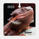 Search for bearded dragon christmas tree decorations Animal