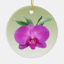 Search for orchid christmas tree decorations Blossom