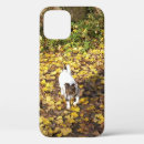 Search for jack russell dog iphone cases Terrier