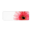 Search for gerbera return address labels Flower
