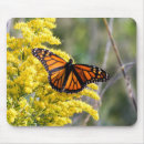 Search for caterpillar mousepads Flowers