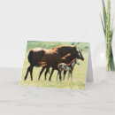 Search for gelding cards Equine