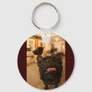 Search for d a key rings Dog