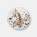 Search for porcelain magnets Floral