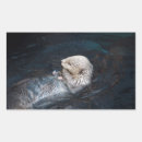 Search for wild otters Nature