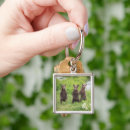 Search for brown bear key rings Young animal