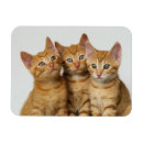 Search for side magnets Cute