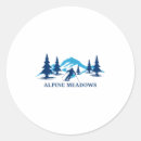 Search for alpine stickers Skiing