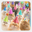 Search for cat animal stickers Pets