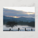 Search for awakening postcards Sunset