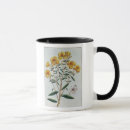 Search for pierre joseph mugs Botanical
