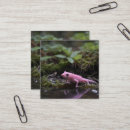 Search for down business cards Wildlife