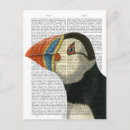 Search for puffin postcards Cute animals