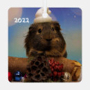 Search for piggy christmas tree decorations Pet