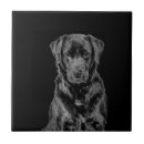 Search for labrador puppy tiles Black