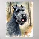 Search for kerry blue terrier Canine