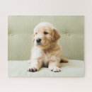 Search for baby puzzles Pets
