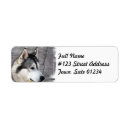 Search for malamute return address labels Husky