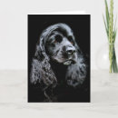 Search for cocker spaniel cards Canine