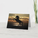 Search for at sunset cards Silhouette