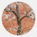 Search for apricot stickers Floral