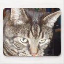 Search for vets mousepads Pets