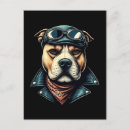 Search for dog on motorcycle postcards Vintage