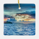 Search for polynesia christmas tree decorations Tropical