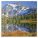 Search for recreation tiles Usa