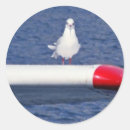 Search for sea bird stickers Blue