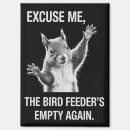 Search for silly rectangular magnets Funny