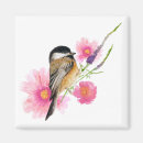 Search for chickadees magnets Nature