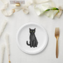 Search for black cat plates Kitten
