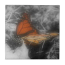 Search for black white butterfly tiles Orange