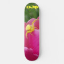 Search for crab skateboards Colourful