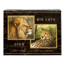 Search for big cat calendars Lion