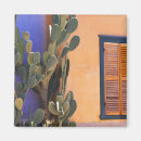 Search for blue window magnets Tucson