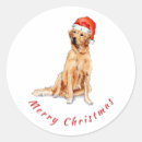 Search for golden retriever round stickers Pet lover