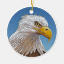 Search for eagles christmas tree decorations Boy