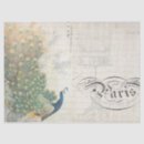 Search for feather tissue paper Ephemera