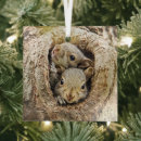 Search for long island christmas tree decorations Animals in the wild